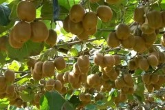 曼联弃将绝平英超黑马荣膺欧战全场最佳